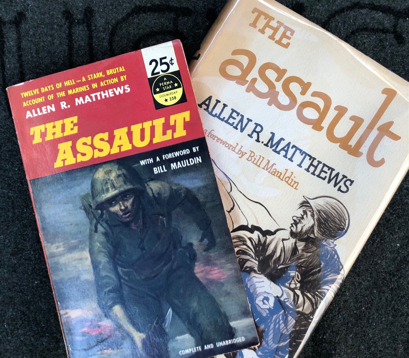 The Assault: Not Just Another War Book